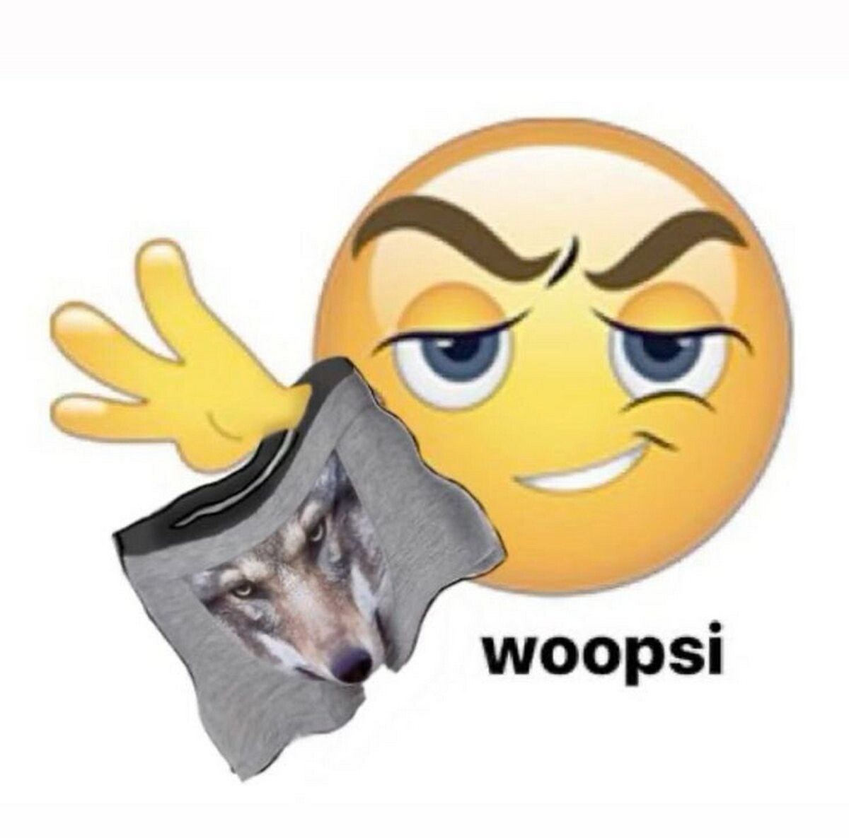woopsi