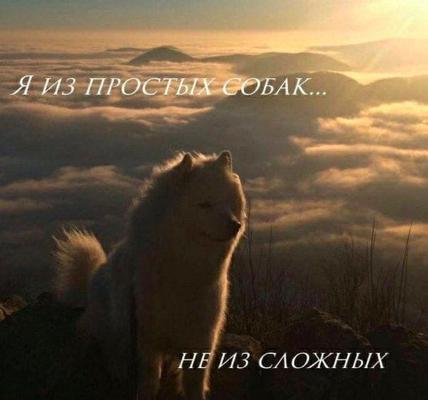 Я ИЗ НЕ ИЗ СЛОЖНЫХ