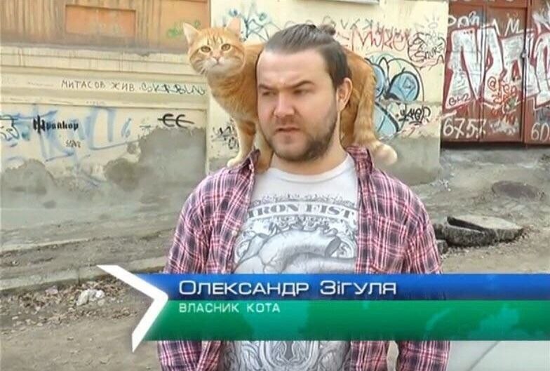 Dah WOW £2, SVE 4 \7, у or? Tet ANE 7 У SirynA 4“ ВЛАСНИК КОТА Vit he
