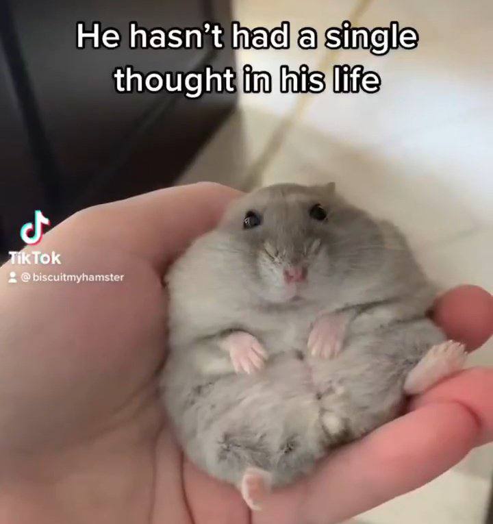Не hasn’t single thoug _TikTok