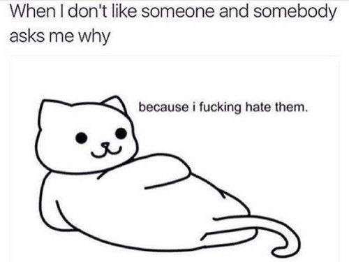 When don't like someone and somebody asks me why because i fucking hate them.