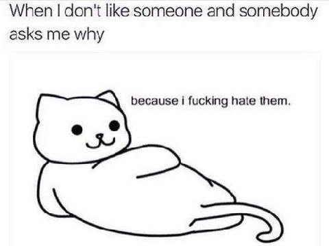 When don't like someone and somebody asks me why because i fucking hate them.