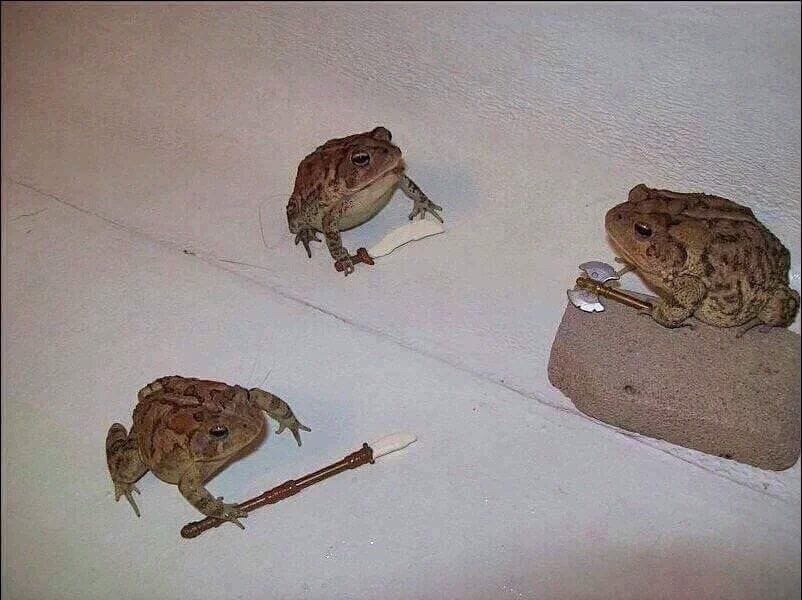 The time has come, my dudes.