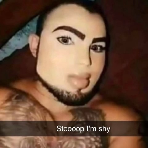Stoooop shy