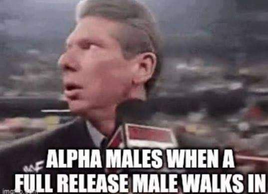 ALPHA MALES WHEN A FULL RELEASE MALE WALKS IN