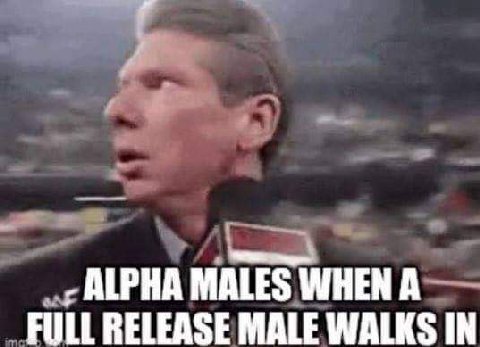 ALPHA MALES WHEN A FULL RELEASE MALE WALKS IN
