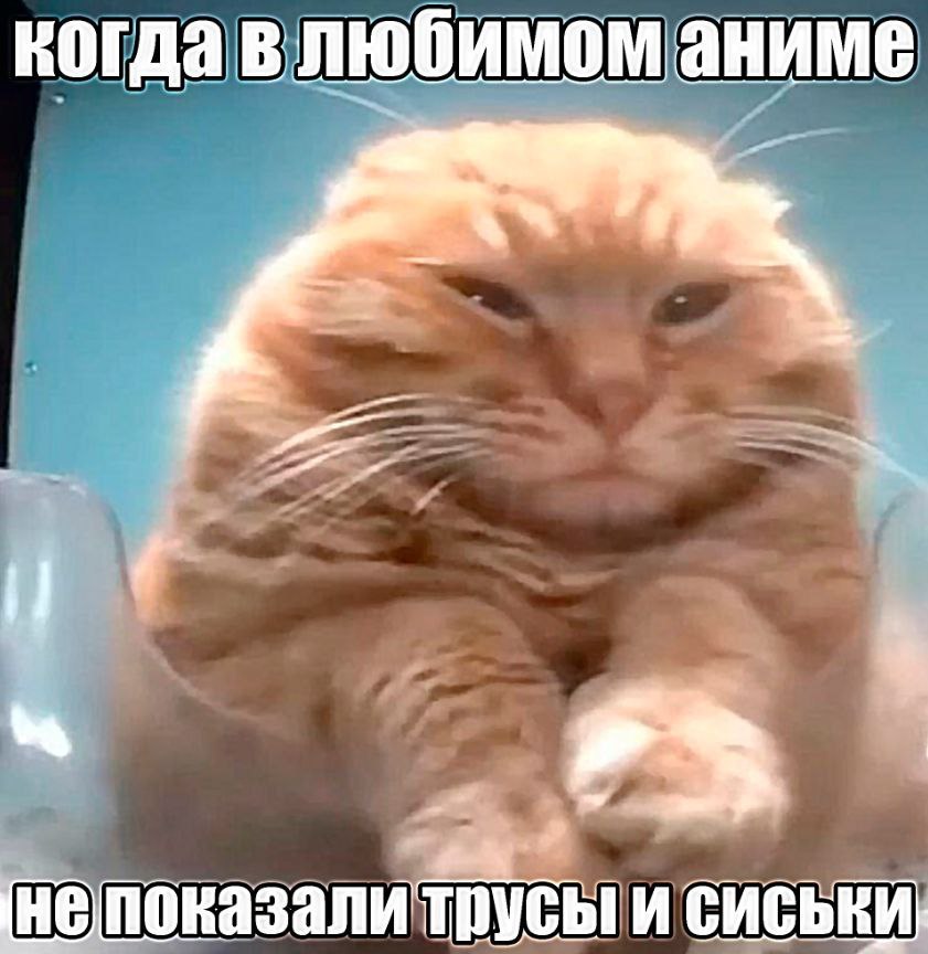 когда влюбимом аниме трусы и сиськи,