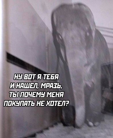 НУ ВОТ Я ТЕБЯ И НАШЕЛ, МРАЗЬ, ТЫ ПОЧЕМУ МЕНЯ ПОКУПАТЬ НЕ XOTEN?