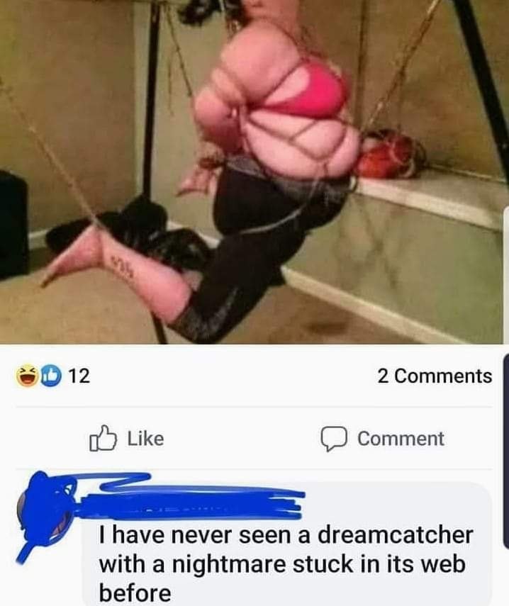 2 Comments Like Comment have never seen a dreamcatcher with a nightmare stuck in its web before
