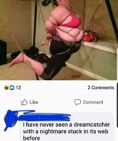 2 Comments Like Comment have never seen a dreamcatcher with a nightmare stuck in its web before