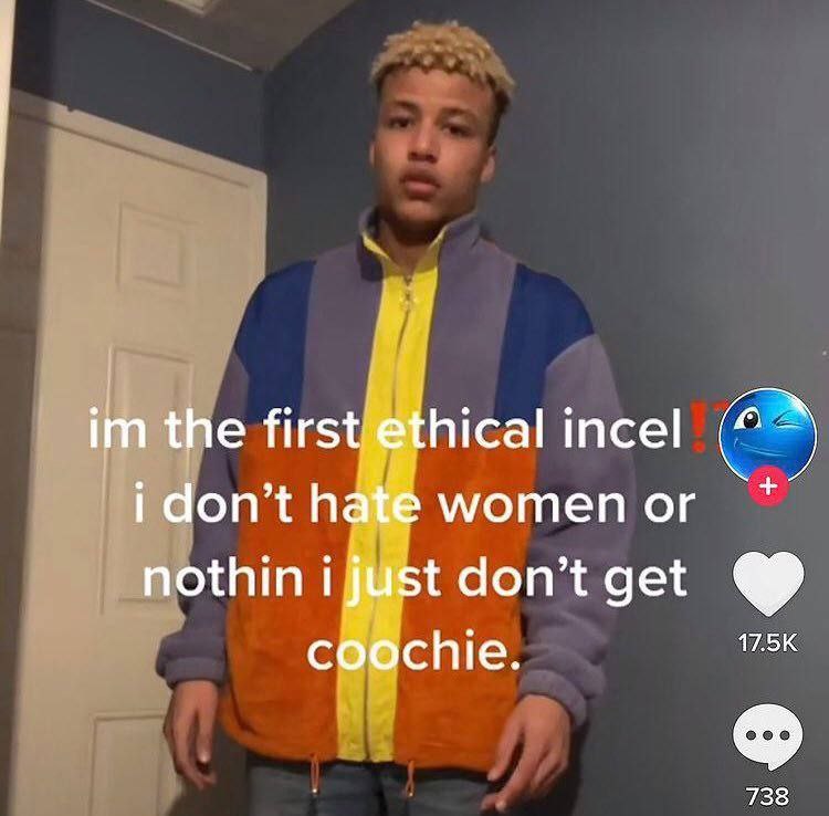 the first ethical incel idon’t hate ммотеп nothini just don’tget coochie.