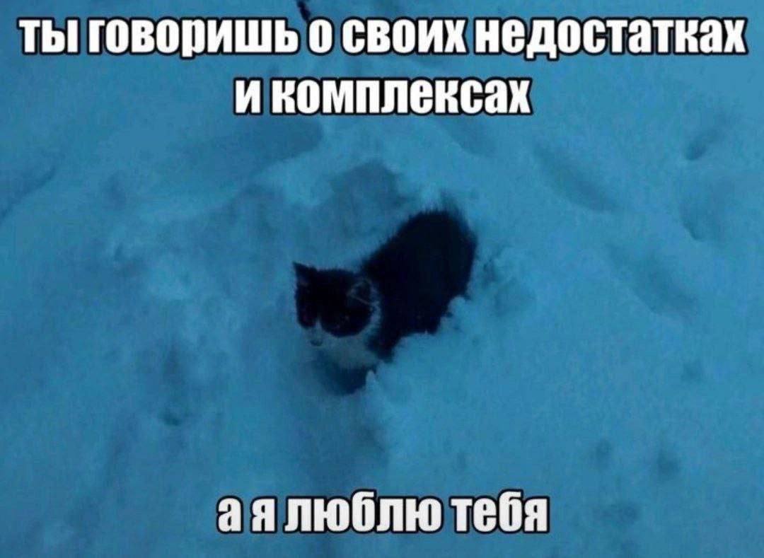 ты говоришь о своих недостатках икомплексах люблю тебя