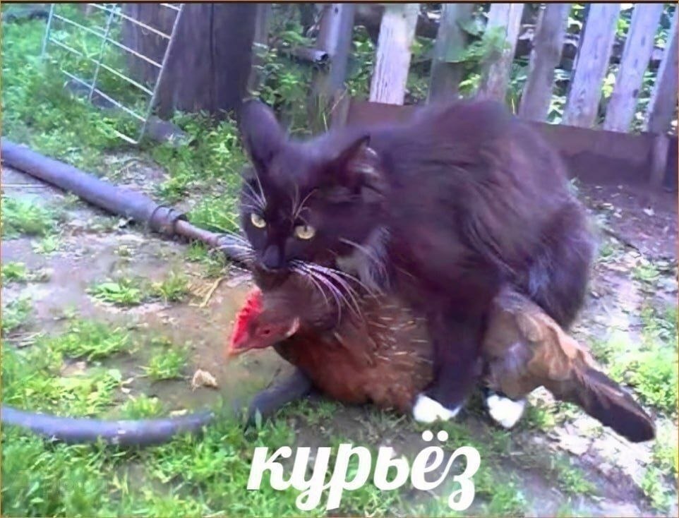 а 5 я a oly i 2> 2 4 i“ a 25 2 а в 5 a 4 4 4 2