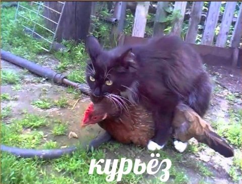 а 5 я a oly i 2> 2 4 i“ a 25 2 а в 5 a 4 4 4 2