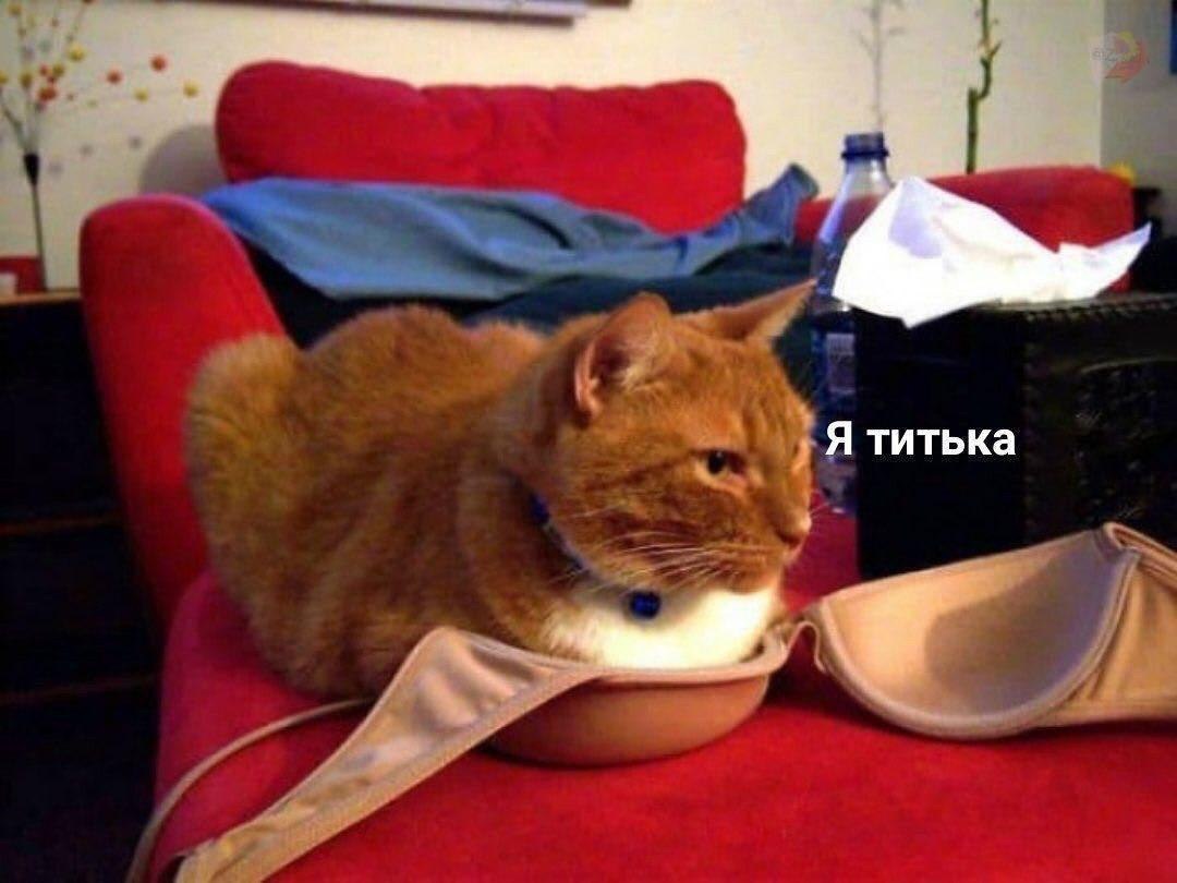 Я титька