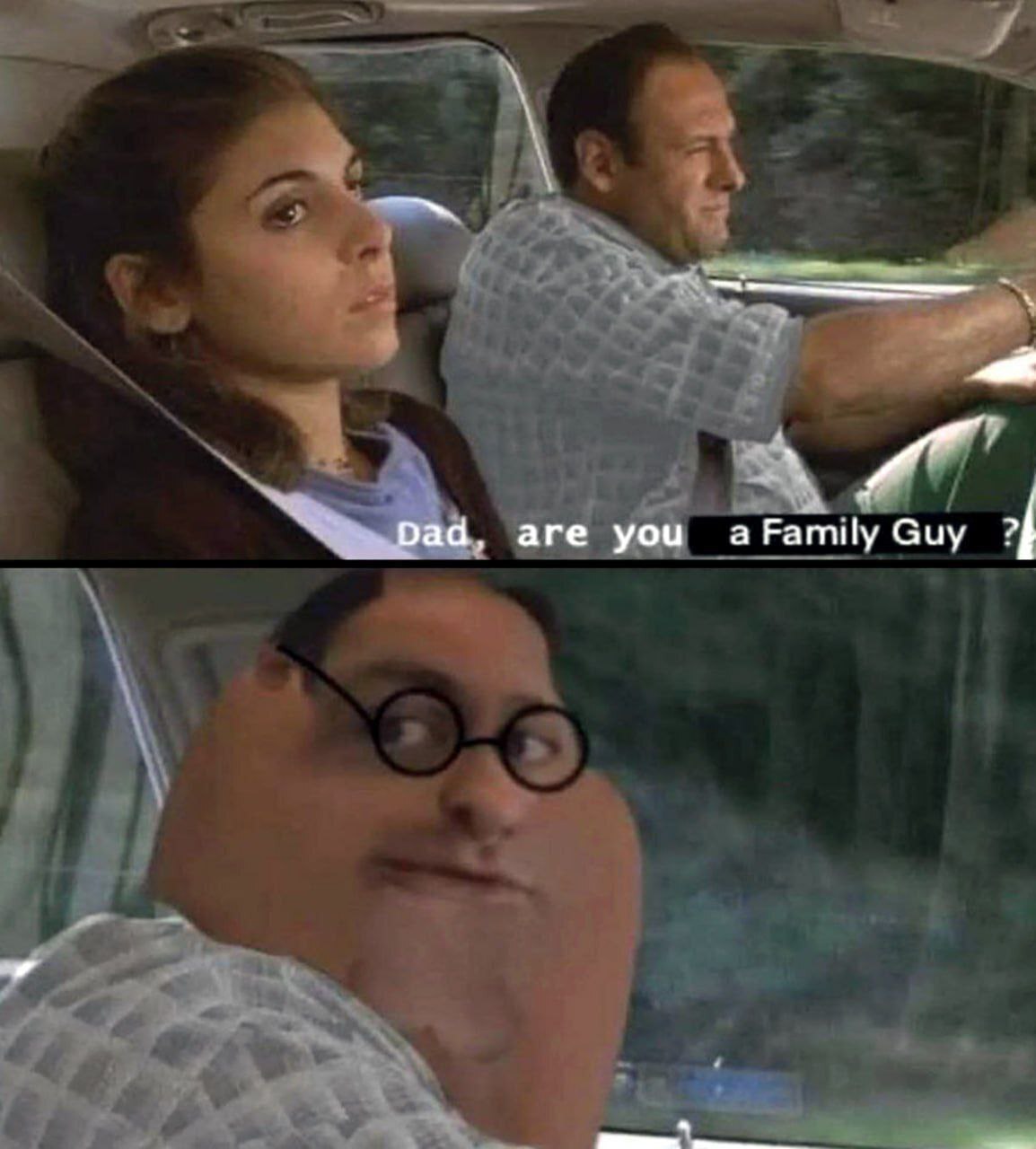 are you a Family Guy