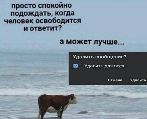 просто спокойно подождать, когда человек освободится и ответит? а может лучше... Удалить сообщение? Удалить для всех Отмена Удалить