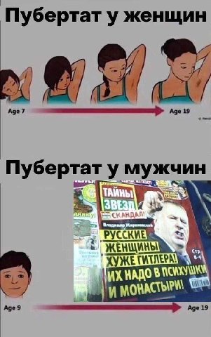 Пубертат у женщин Аде 7 Age 19 Пубертат у мужчин ХУЖЕ и Аде 9 Age 19