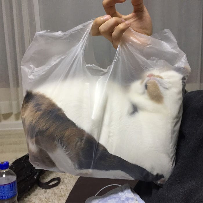 у 4 у