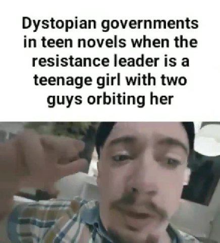 Dystopian governments resistance leader is a