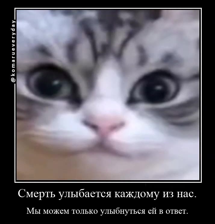 Смерть улыбается каждому из нас. Мы можем только улыбнуться ей в ответ.