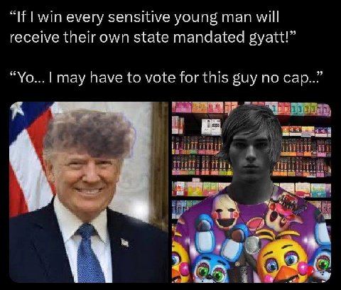 “If win every sensitive young man will receive their own state mandated gyatt!” may have to vote for this guy no cap 4 НИ, a К:
