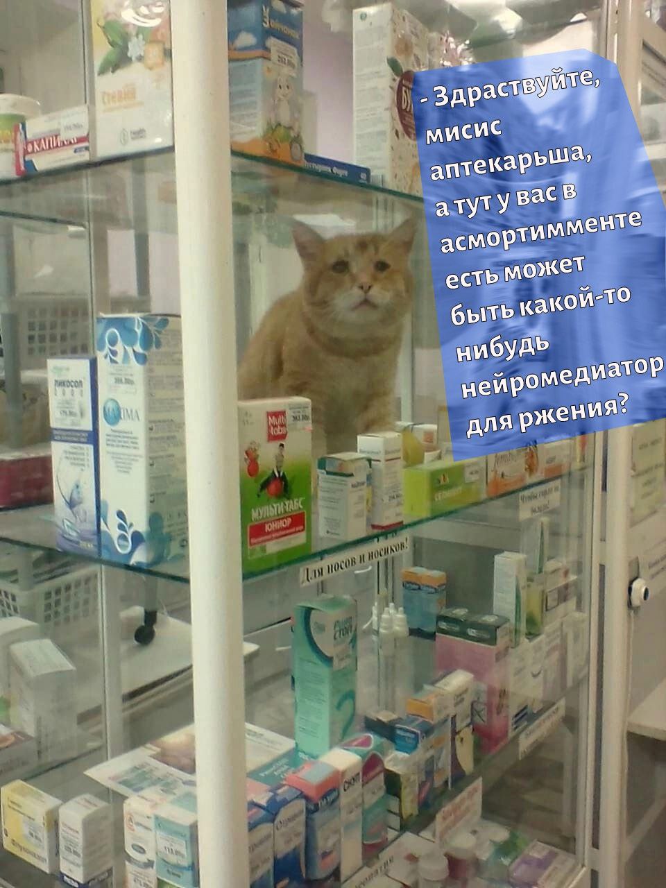аптека нте асмортимме есть может быть како и-то нибудь нейроме диатор жения?