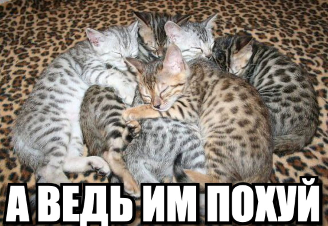 a 4. АВЕДЬ