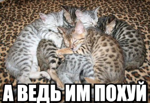 a 4. АВЕДЬ
