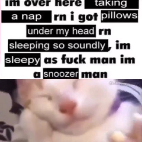 sleeping so soundly МПИ ит оуст пегс соц