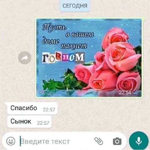 СЕГОДНЯ IT HOM Спасибо 22:57 Сынок 22.57 Введите текст