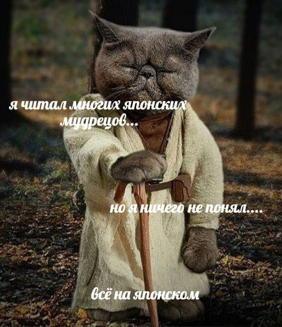 я читал многих японских мудрецов (её на японском