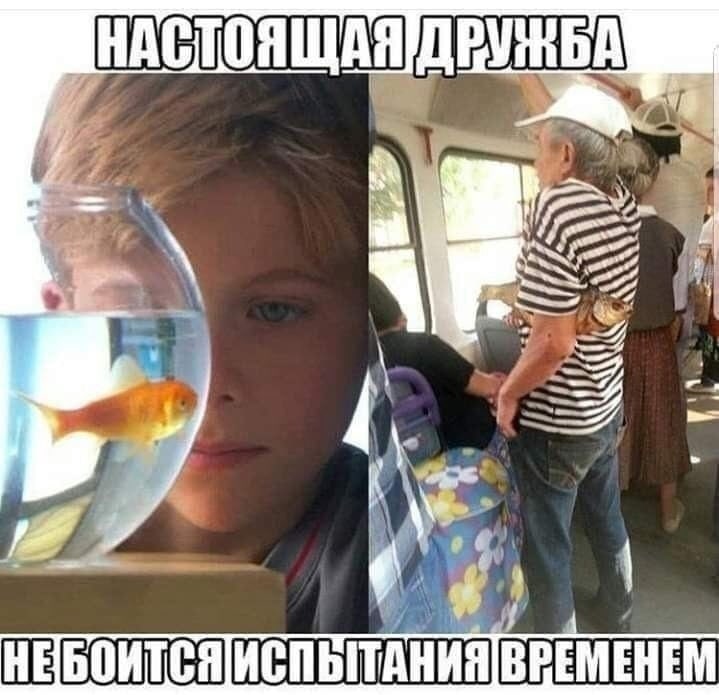 у 7 a у ВРЕМЕНЕМ
