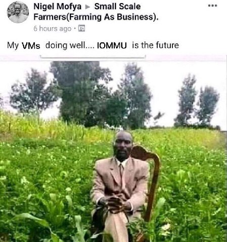 eee Nigel Mofya Small Scale Farmers(Farming As Business). 6 hours ago My VMs doing well.... ЮММУ is the future we a. on