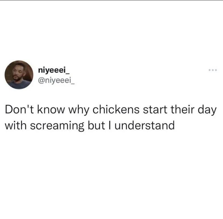niyeeei_ @niyeeei_ Don't know why chickens start their day with screaming but understand