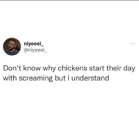 niyeeei_ @niyeeei_ Don't know why chickens start their day with screaming but understand