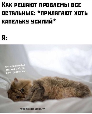 КАК РЕШАЮТ ПРОБЛЕМЫ ВСЕ ОСТАЛЬНЫЕ: *ПРИЛАГАЮТ ХОТЬ КАПЕЛЬКУ УСИЛИЙ* Я