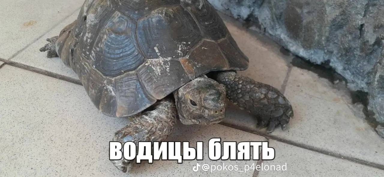 у my 4