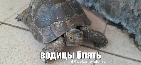 у my 4