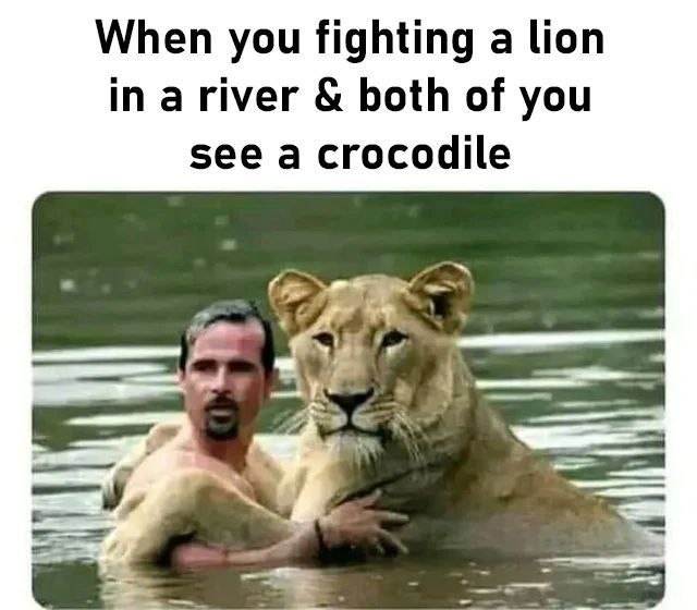 When you fighting а lion in ariver both of you see a crocodile (а 4