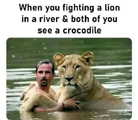 When you fighting а lion in ariver both of you see a crocodile (а 4