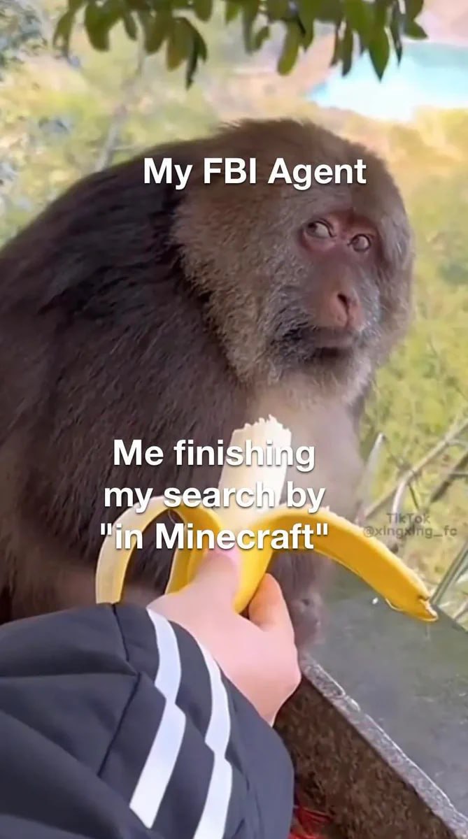 FBI Agent Me finis my-sea и in Min raft"