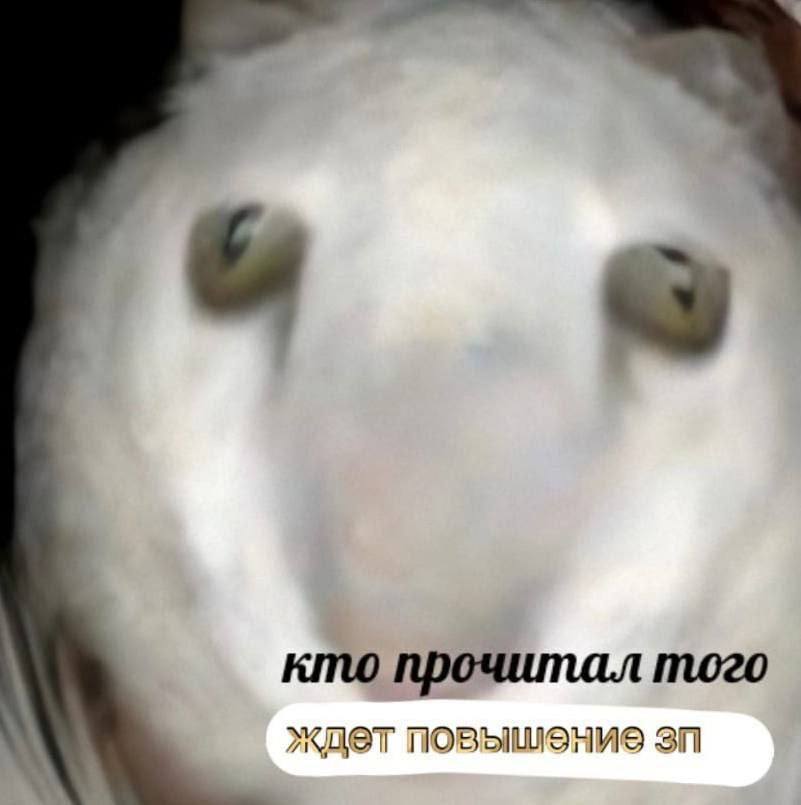 кто прочитал того ждет повышение