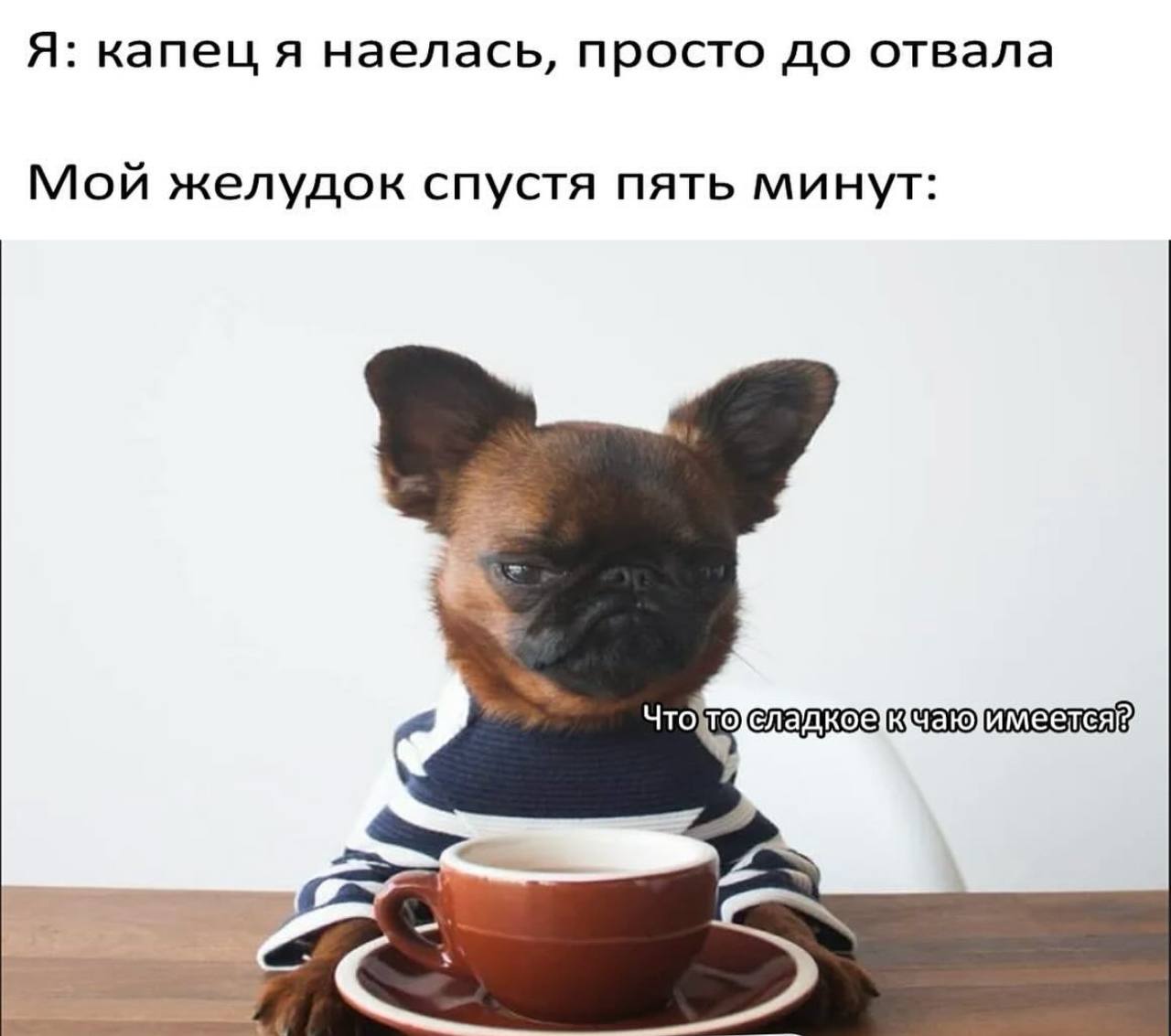 Я: капец я наелась, просто до отвала Мой желудок спустя пять минут: