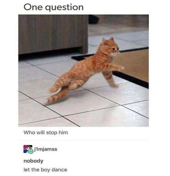One question Who will stop him nobody let the boy dance