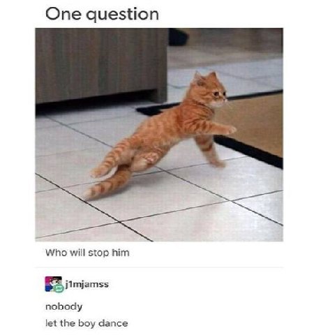 One question Who will stop him nobody let the boy dance
