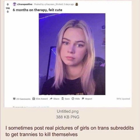 4 Posted 3 6 months on therapy, felt cute 23 A Share save ные Report 29% Untitled.png 388 PNG sometimes post real pictures of girls on trans subreddits to get trannies to kill themselves
