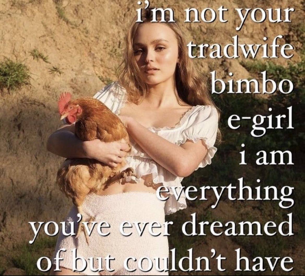 not your tradwife bimbo 5 thing you dreamed have
