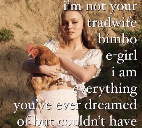 not your tradwife bimbo 5 thing you dreamed have
