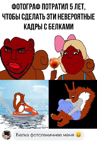 ФОТОГРАФ ПОТРАТИЛ 5 ЛЕТ, ЧТОБЫ СДЕЛАТЬ ЭТИ НЕВЕРОЯТНЫЕ КАДРЫ С БЕЛКАМИ Белка фотогеничнее меня (52